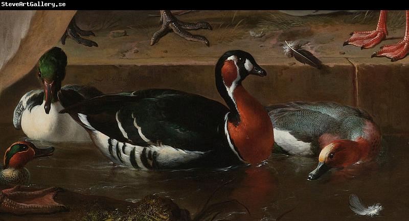 HONDECOETER, Melchior d A Pelican and Other Birds Near a Pool, known as 'The Floating Feather'